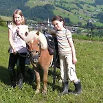 Rossalm Mit Sauna Alpbach