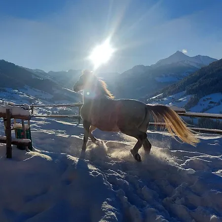 Rossalm Mit Sauna * Альпбах