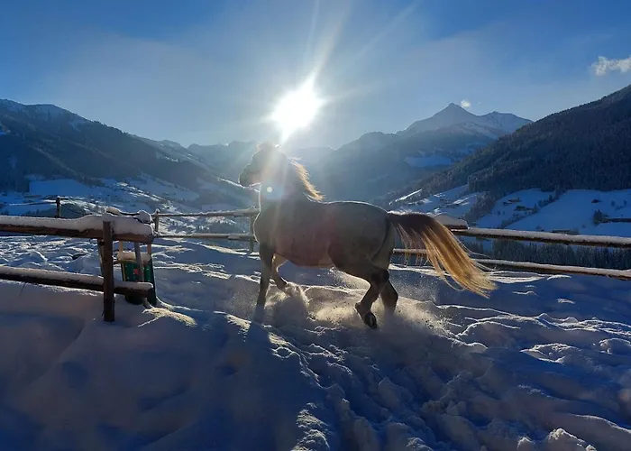 Rossalm Mit Sauna * Alpbach
